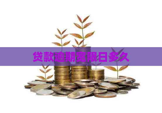 贷款逾期宽限日多久