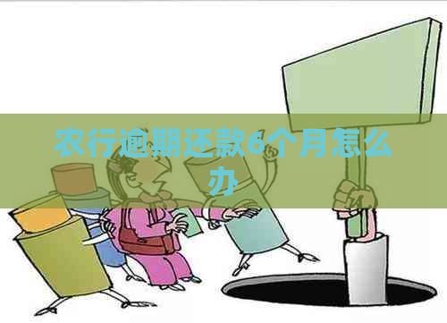 农行逾期还款6个月怎么办