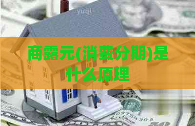 商露元(消费分期)是什么原理