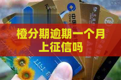 橙分期逾期一个月上吗