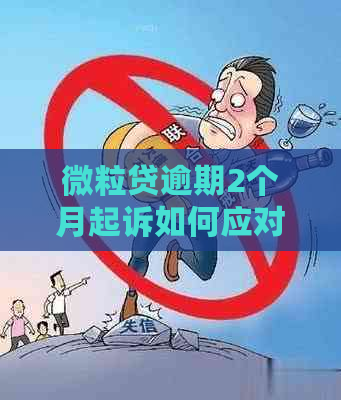 微粒贷逾期2个月起诉如何应对