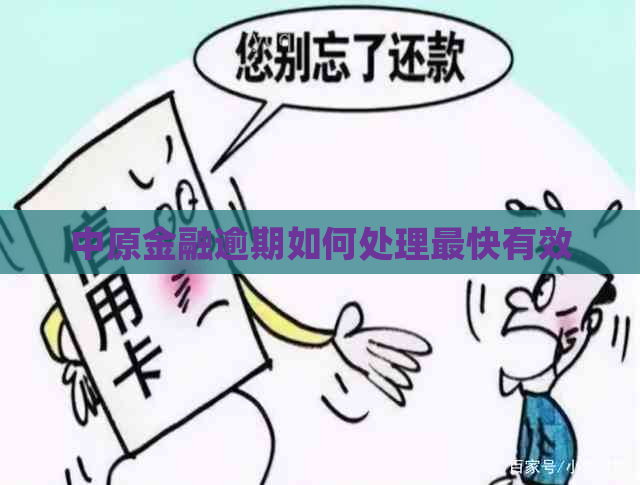 中原金融逾期如何处理最快有效
