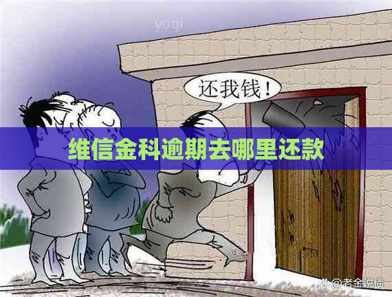 维信金科逾期去哪里还款