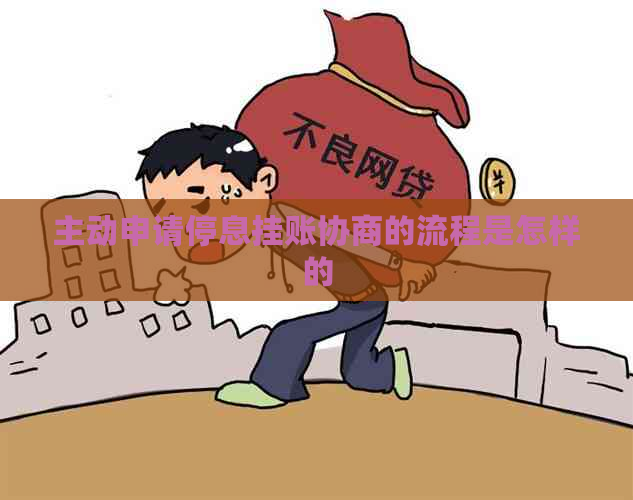 主动申请停息挂账协商的流程是怎样的