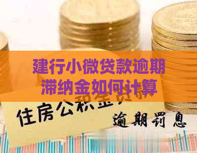 建行小微贷款逾期滞纳金如何计算