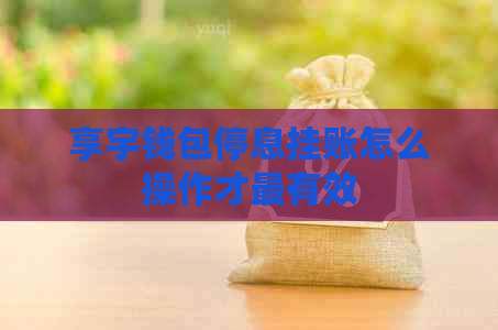 享宇钱包停息挂账怎么操作才最有效