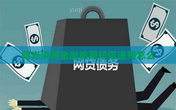 阳光消费金融逾期短信通知怎么