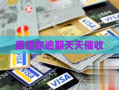 惠懂你逾期天天
