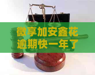 微享加安鑫花逾期快一年了如何解决
