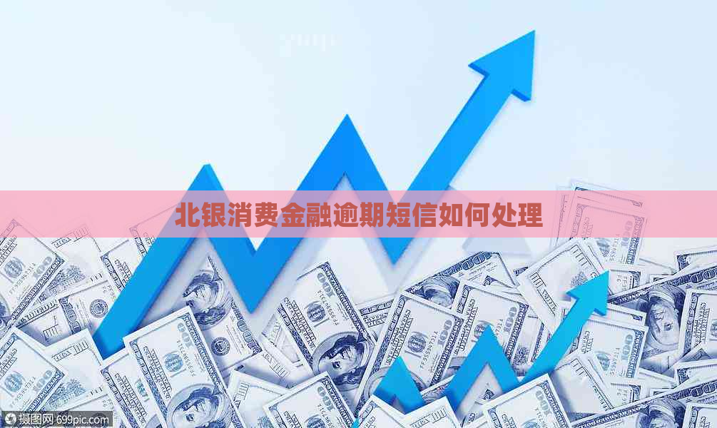 北银消费金融逾期短信如何处理