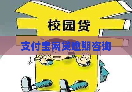 支付宝网贷逾期咨询