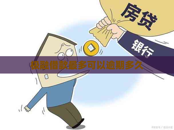 极融借款最多可以逾期多久
