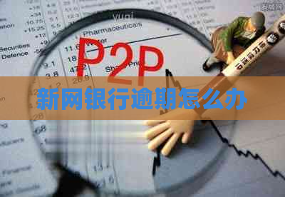 新网银行逾期怎么办