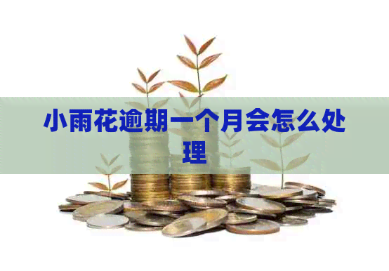 小雨花逾期一个月会怎么处理