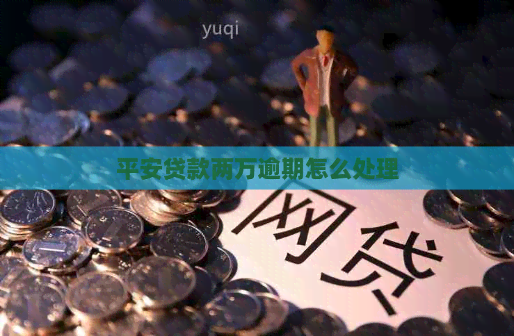 平安贷款两万逾期怎么处理