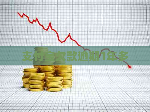 支付宝欠款逾期1年多