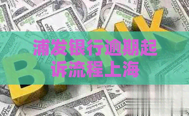 浦发银行逾期起诉流程上海