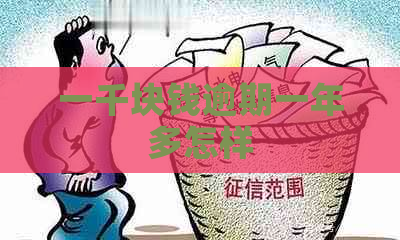 一千块钱逾期一年多怎样