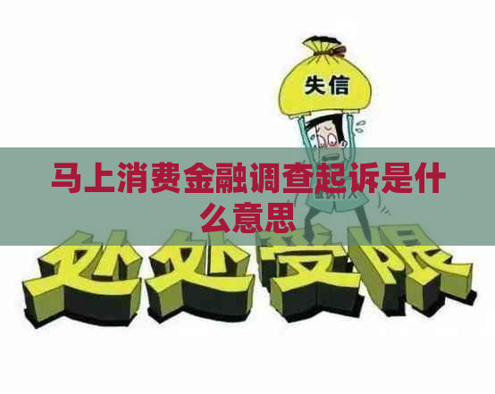 马上消费金融调查起诉是什么意思