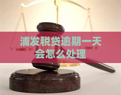浦发税贷逾期一天会怎么处理