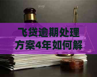 飞贷逾期处理方案4年如何解决