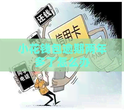 小花钱包逾期两年多了怎么办