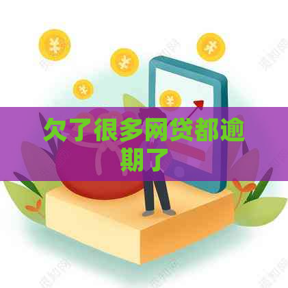 欠了很多网贷都逾期了