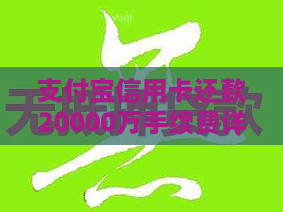 支付宝信用卡还款20000万手续费详细解析，包括不同还款方式和费率比较