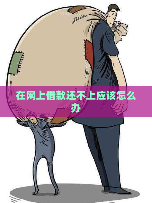 在网上借款还不上应该怎么办