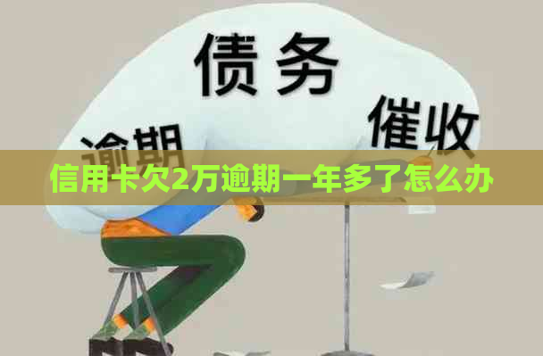 信用卡欠2万逾期一年多了怎么办