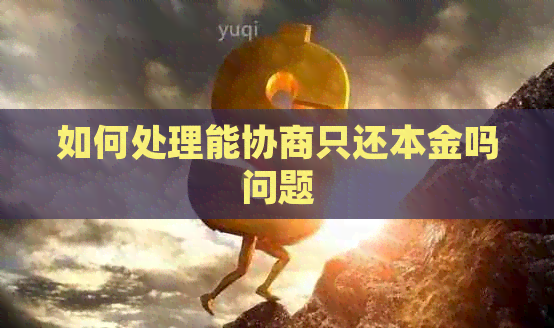如何处理能协商只还本金吗问题