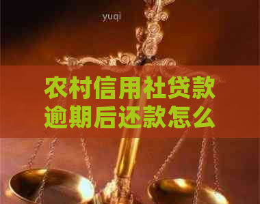 农村信用社贷款逾期后还款怎么办