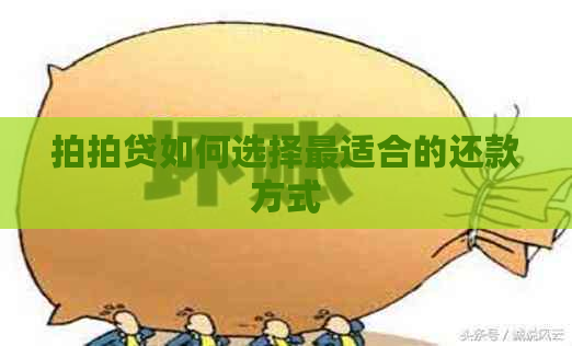 如何选择最适合的还款方式