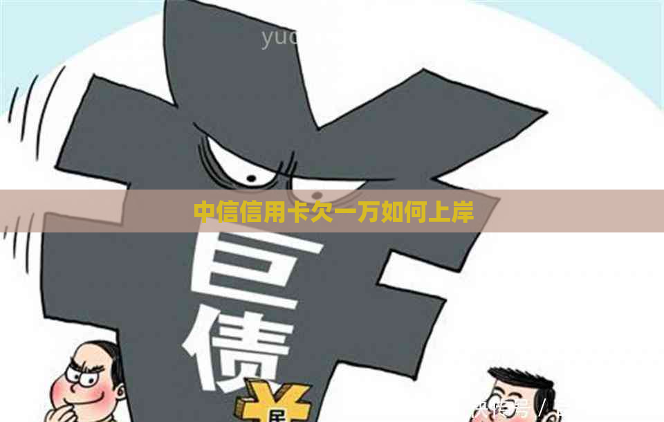 中信信用卡欠一万如何上岸