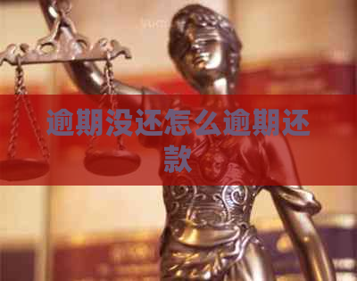 逾期没还怎么逾期还款