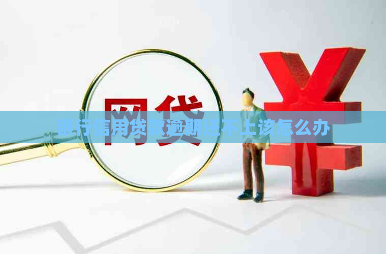 银行信用贷款逾期还不上该怎么办