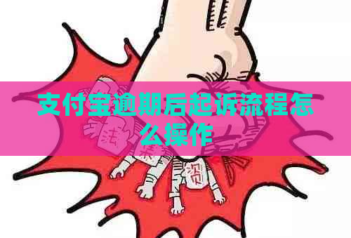支付宝逾期后起诉流程怎么操作