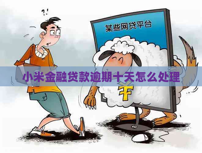小米金融贷款逾期十天怎么处理