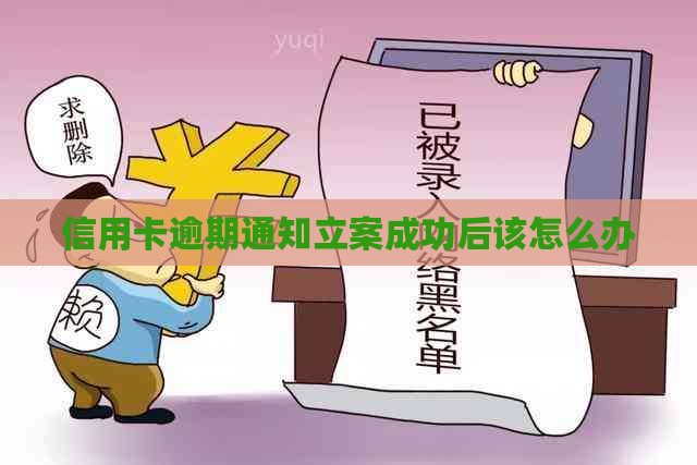 信用卡逾期通知立案成功后该怎么办