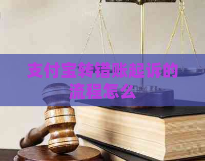 支付宝转错账起诉的流程怎么