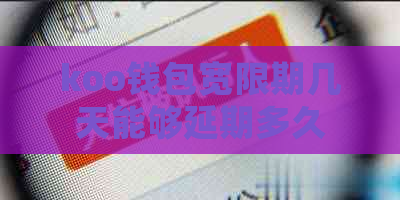 koo钱包宽限期几天能够延期多久