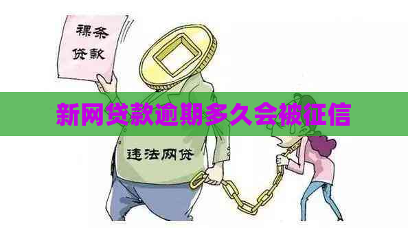 新网贷款逾期多久会被