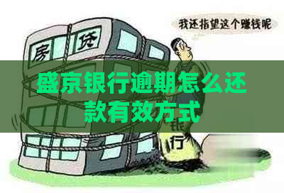 盛京银行逾期怎么还款有效方式