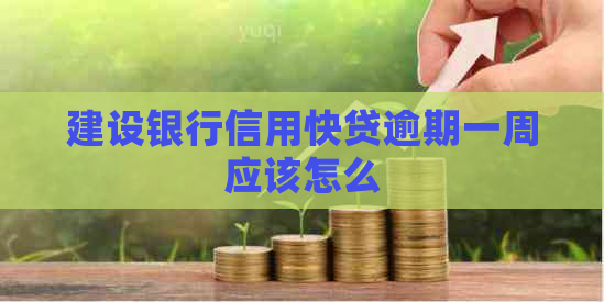 建设银行信用快贷逾期一周应该怎么