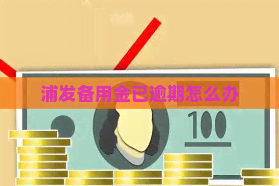 浦发备用金已逾期怎么办