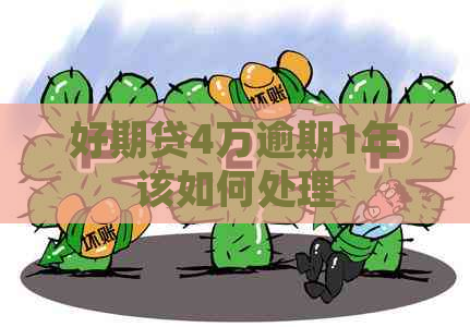 好期贷4万逾期1年该如何处理