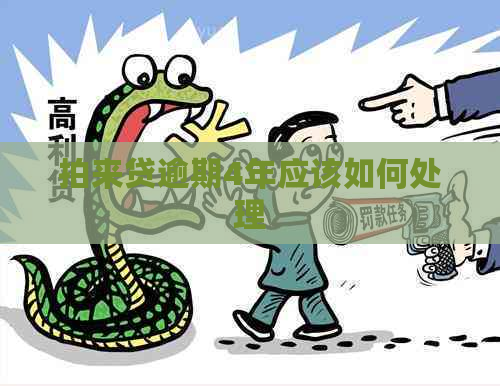 拍来贷逾期4年应该如何处理