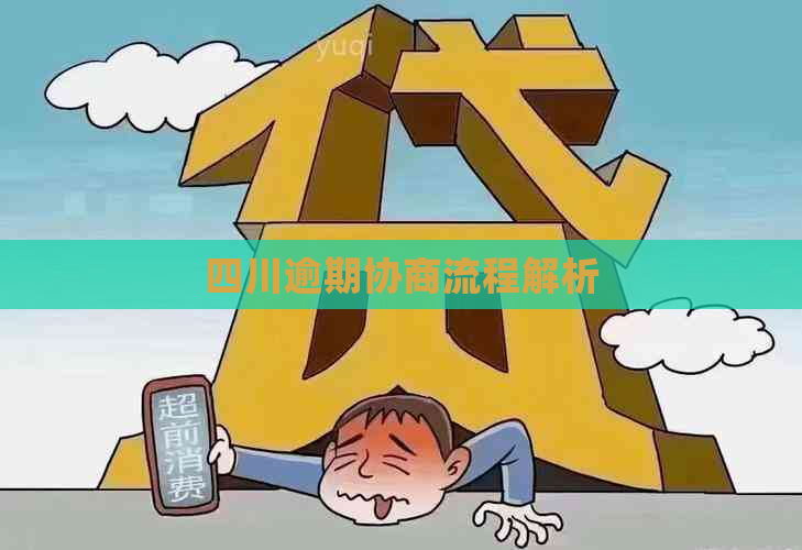 四川逾期协商流程解析
