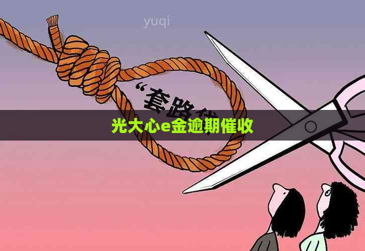 光大心e金逾期