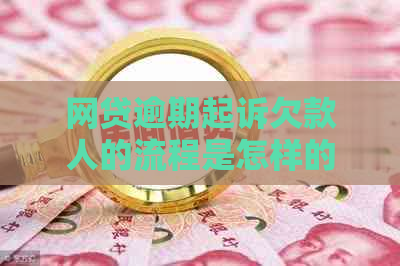 网贷逾期起诉欠款人的流程是怎样的